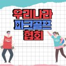 사단법인 한국장애인문화협회 태백시지부 | 우리나라에는 어떤 파크골프협회가 있을까? 연혁과 특징