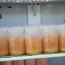#동충하초 냉장고 재배 이미지