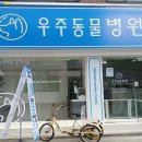 광진동물병원 이미지