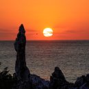 (주)동해관광 이미지