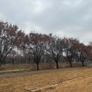 바람길소공원 이미지