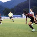 군민체육공원 인조1구장 이미지