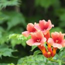 인화여자고등학교 이미지