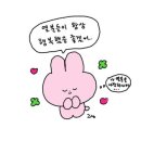 소이재두