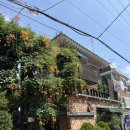 토브하우스커피3 | 경기도 부천 카페 능소화 예쁜 토브하우스커피3