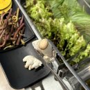 수원-1465 이미지