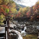 산내면 반선마을 네이버블로그