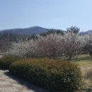 금강수목원 이미지