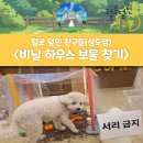 털친구 | 유치원 프로그램 "비닐하우스 놀이"/ 산책하는 강아지 유치원 / 애견 유치원 후기(털로덮인친구들 상도점)