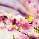 파로스학원 이미지