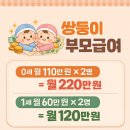 쌍둥중기센타 | 2026년 쌍둥이출산 지원금 총정리 첫만남이용권,부모급여,다태아혜택 등