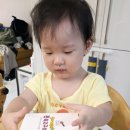 까투리 | 두 아이 아빠의 솔직한 유아간식 후기, 리틀스푼 엄마까투리 쫀득고구마!