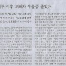 보니기획