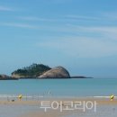 자은도에서 이미지