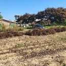 유진부동산중개 이미지