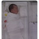 동실유치원 | 루 산후조리원 6박 7일 후기! VVIP룸, 가성비 대만족 솔직후기