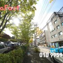 더포레스트빌 이미지