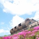 구재봉자연휴양림(하동) 이미지