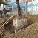 남구청 청사내 이미지