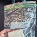 🌴세부 태교 여행 0일차 :: KE615 프레스티지석 후기 + 쉐라톤 세부 막탄 리조트 체크인 ✈️🧳