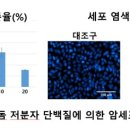 수산대장 이미지