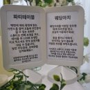 웰플랜드 네이버블로그