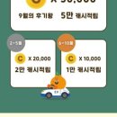 제주이브이전기렌트카