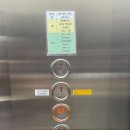바이레마 이미지