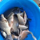 한탄강 낚시터 이미지