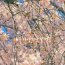 대구선동촌공원3 이미지