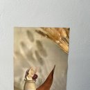 오프더월