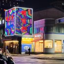 백악관성인나이트 이미지