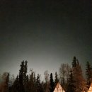 겨울 캐나다 여행 #5_오로라 관측 시도, 옐로나이프에서 밴프(Banff) 이동, BREWSTER 셔틀버스, Elk And...