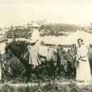 예수병원의학박물관 이미지