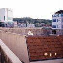 봉춘농장 | [미놀타 하이매틱 af-d] 필름카메라 후기