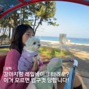 삼척 애견동반 여행, 강아지랑 가볼만한곳 레일바이크 숨겨진 현실