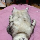 둘레길 민박 이미지