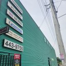 선산대로-55 | [구미 타이어] 발통천국 리얼 후기 | SUV 고질병 소음 해결! 금호 크루젠 GT Pro 교체 및 우중 주행기 🚗🌧️