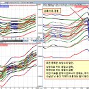 [ 모든 종목은 속임수의 달인. 낫 놓고 기역자 모른다는 속담. ] 이미지