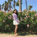 다다목장 이미지