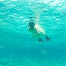 인덱스 제이드림호텔 | 세부 여행 3박 5일 투어 일정 가족여행 숙소 제이파크 리조트