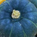 동식농장 이미지