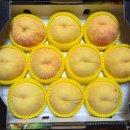 미정농장 이미지