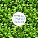 사단법인 안동시관광협의회