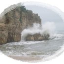 하루B
