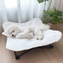 강아지 인견매트 쿨냉감 방석 고양이 여름더위 쿨매트