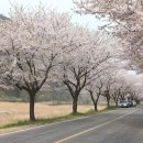 보령-주산-1 이미지