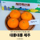 온주농장 | 제주 레드향 3kg 5kg 제주도 특산품 선물 생산자 직거래 택배 전문