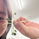 장기로65번길 이미지