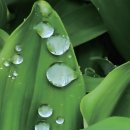 디지털카메라 사진예술 이미지